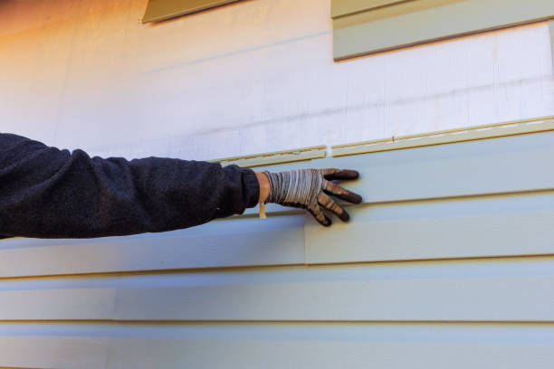 Affordable Siding Repair and Maintenance Services in Hometown, IL